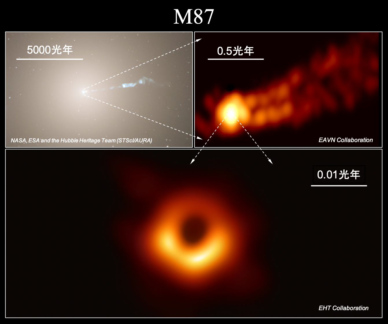 ブラックホールを視たことの「2つの偉大さ」 | 理系とーく｜理系に活躍