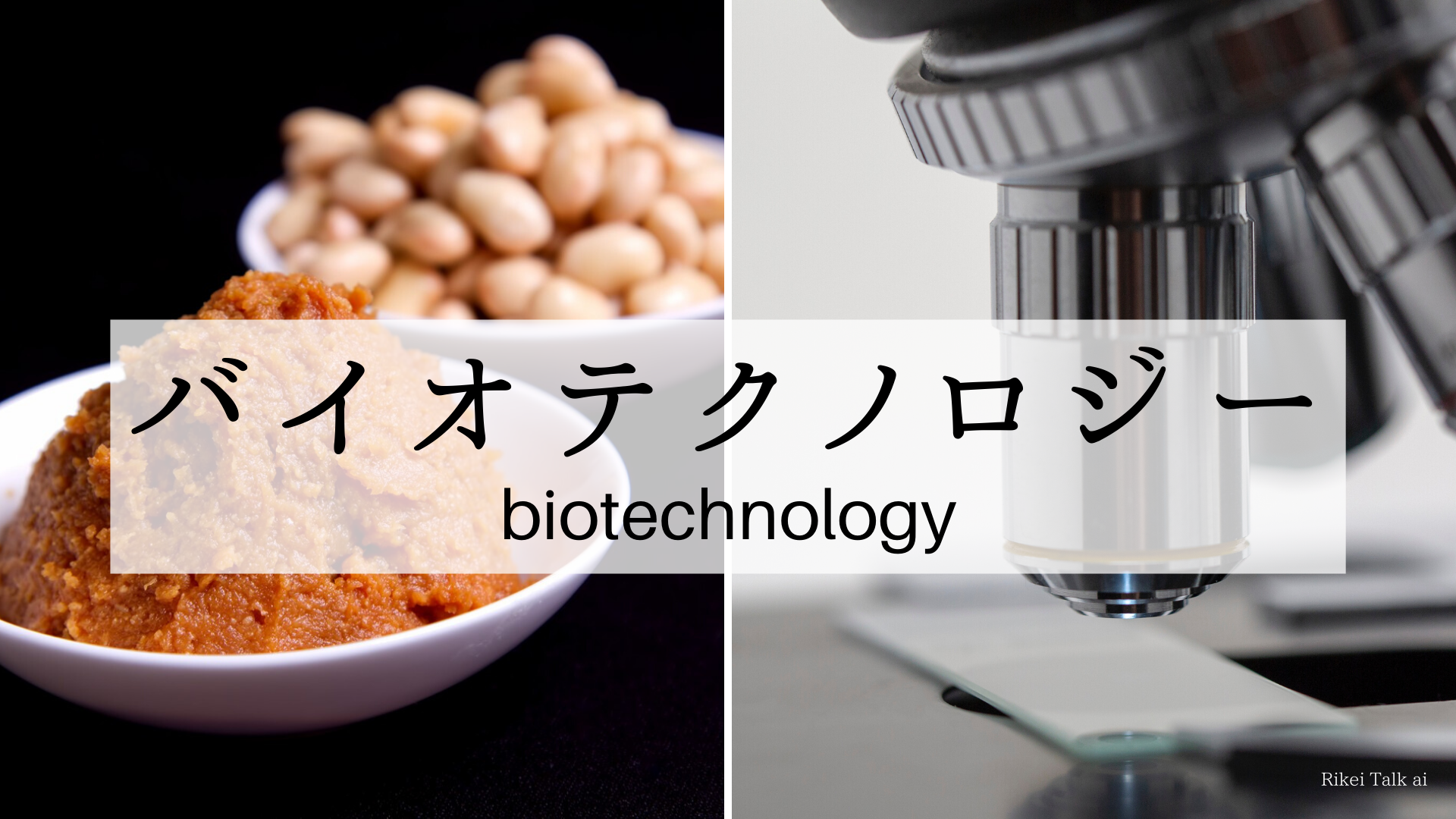 バイオテクノロジーって何？【暮らしの身近なところに生物の力